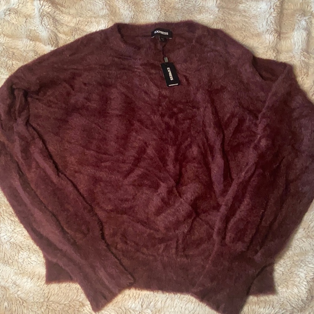 New fuzzy cropped Express sweater
